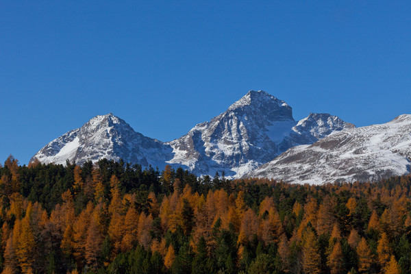 Pontresina, Oberengadin, Engadine, Graubünden, Schweiz, Switzerland